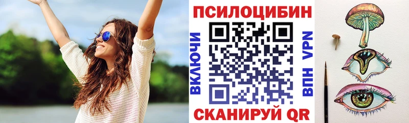 МЕГА ссылка Андреаполь Галлюциногенные грибы Cubensis