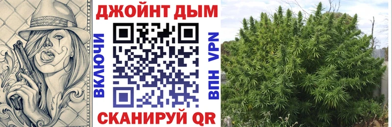 Конопля индика Андреаполь